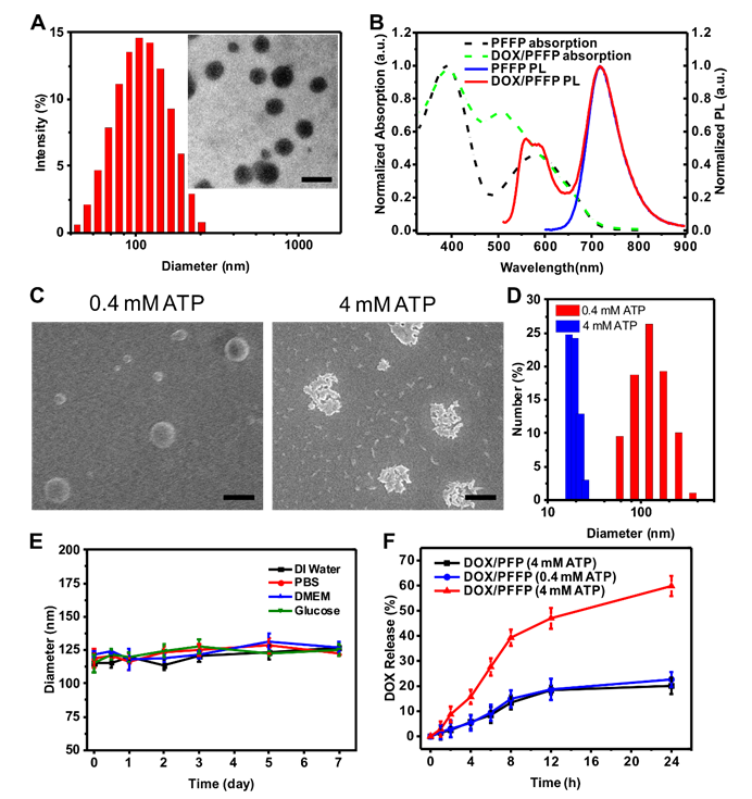 Theranostics Image