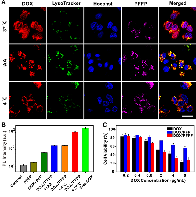 Theranostics Image