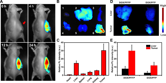 Theranostics Image