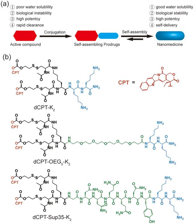 Theranostics Image