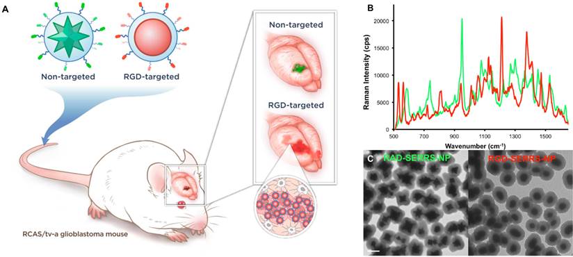 Theranostics Image