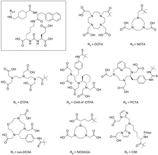 Theranostics Image