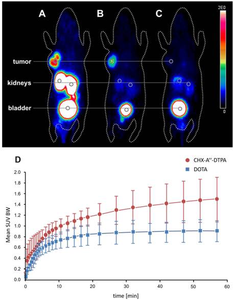 Theranostics Image