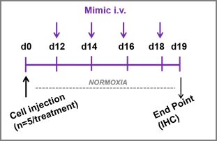 Theranostics Image