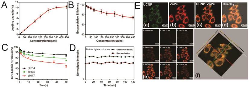 Theranostics Image