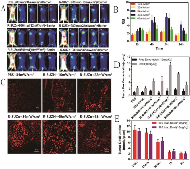 Theranostics Image