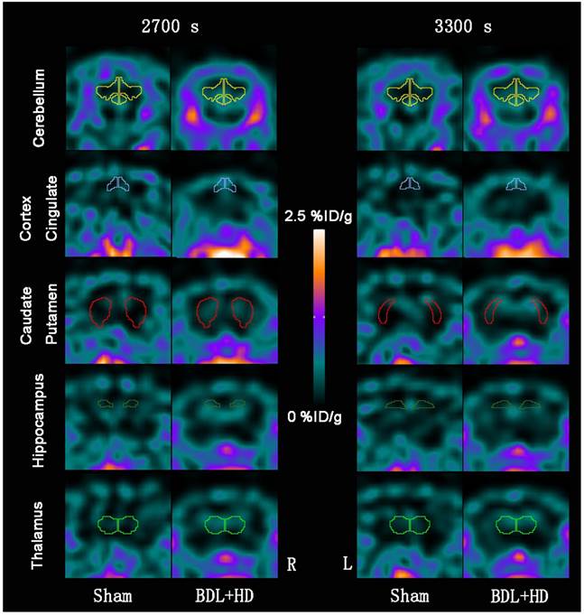 Theranostics Image