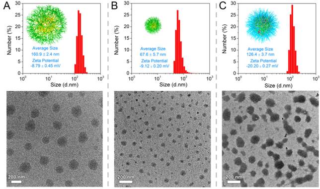 Theranostics Image