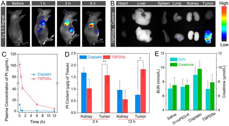 Theranostics Image