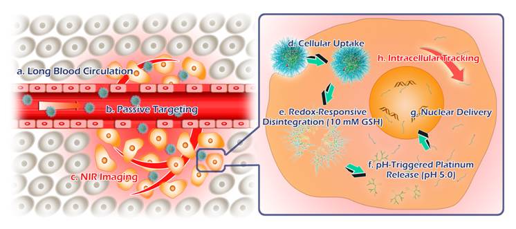 Theranostics Image