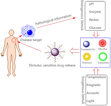 Theranostics Image