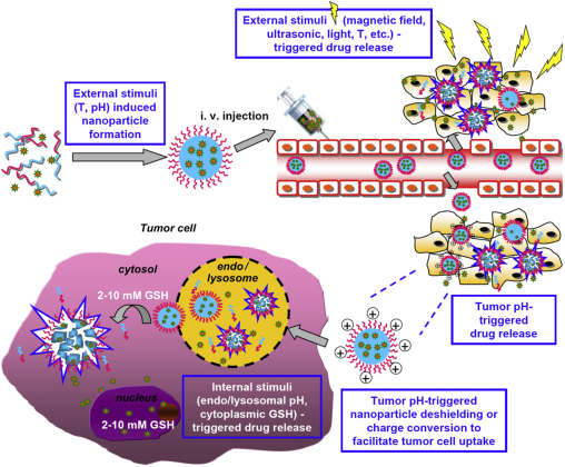 Theranostics Image