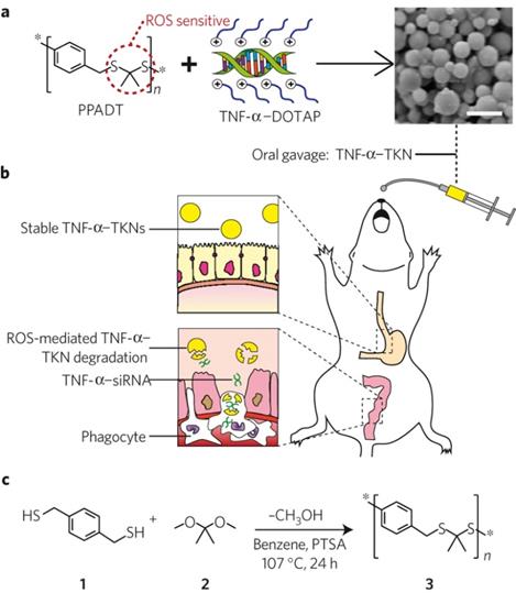 Theranostics Image