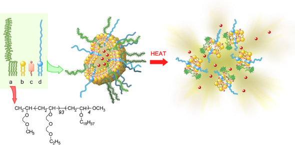 Theranostics Image