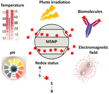 Theranostics Image