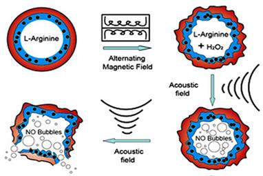 Theranostics Image