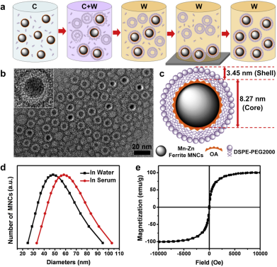 Theranostics Image