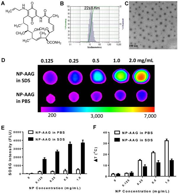 Theranostics Image