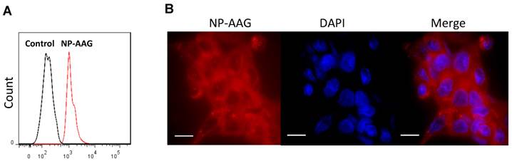 Theranostics Image