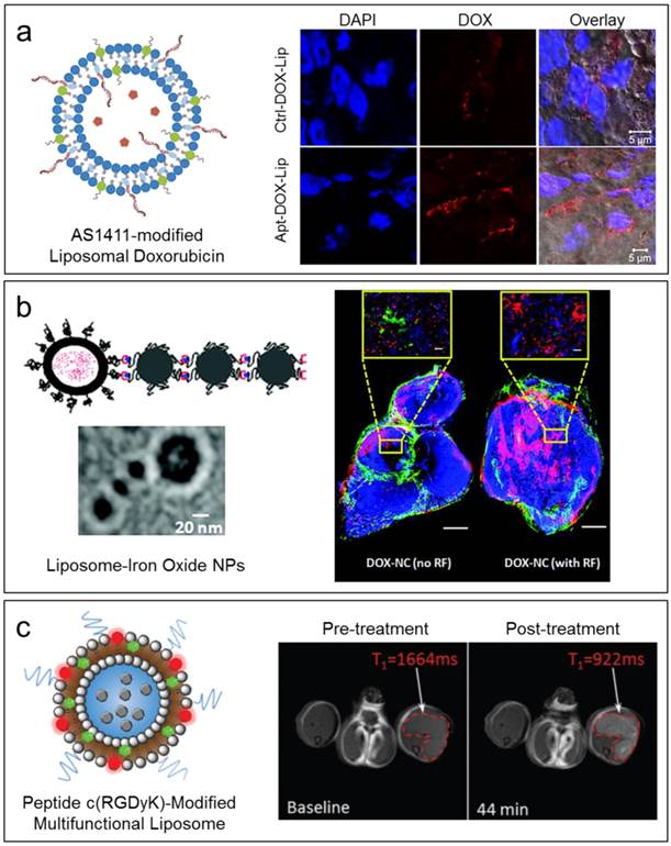 Theranostics Image