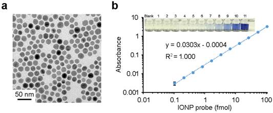 Theranostics Image