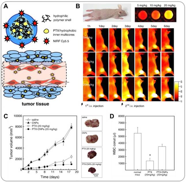 Theranostics Image