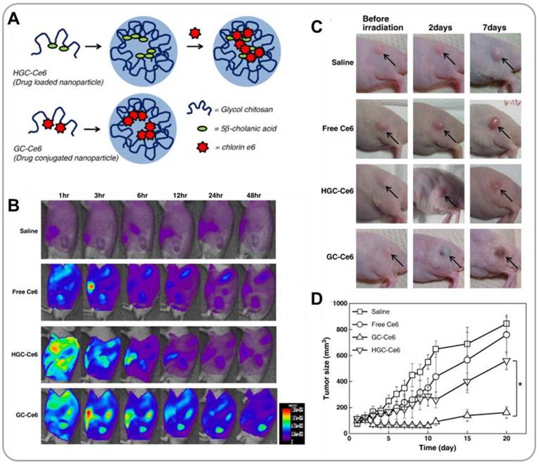 Theranostics Image