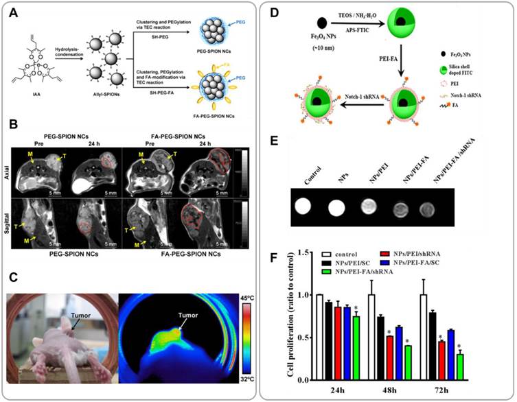 Theranostics Image