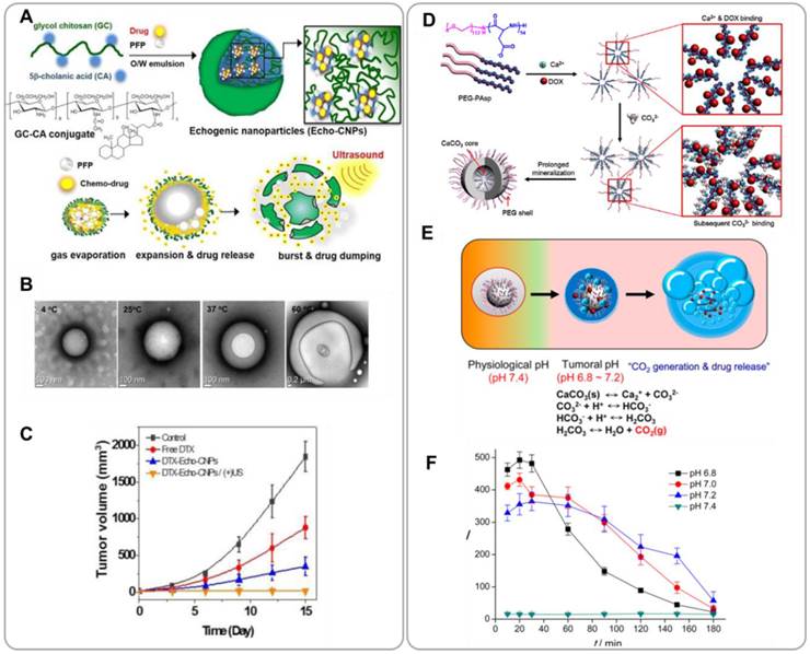 Theranostics Image