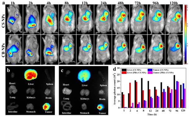 Theranostics Image