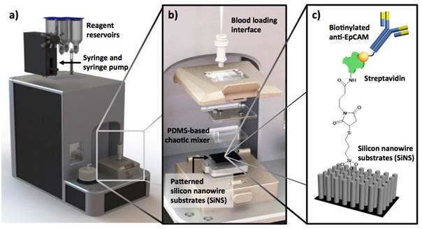 Theranostics Image