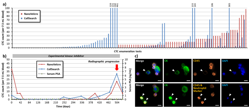 Theranostics Image