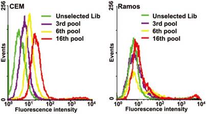 Theranostics Image