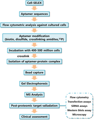 Theranostics Image