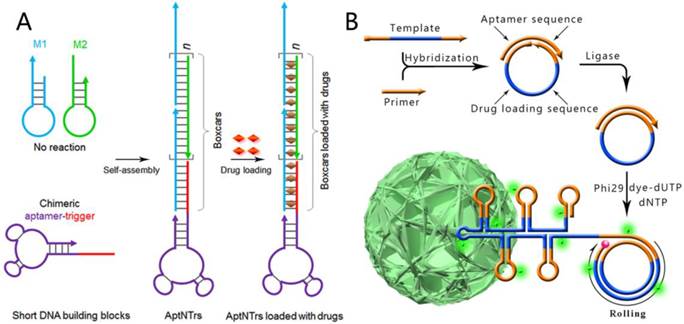 Theranostics Image