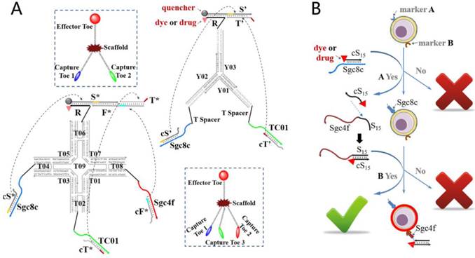 Theranostics Image