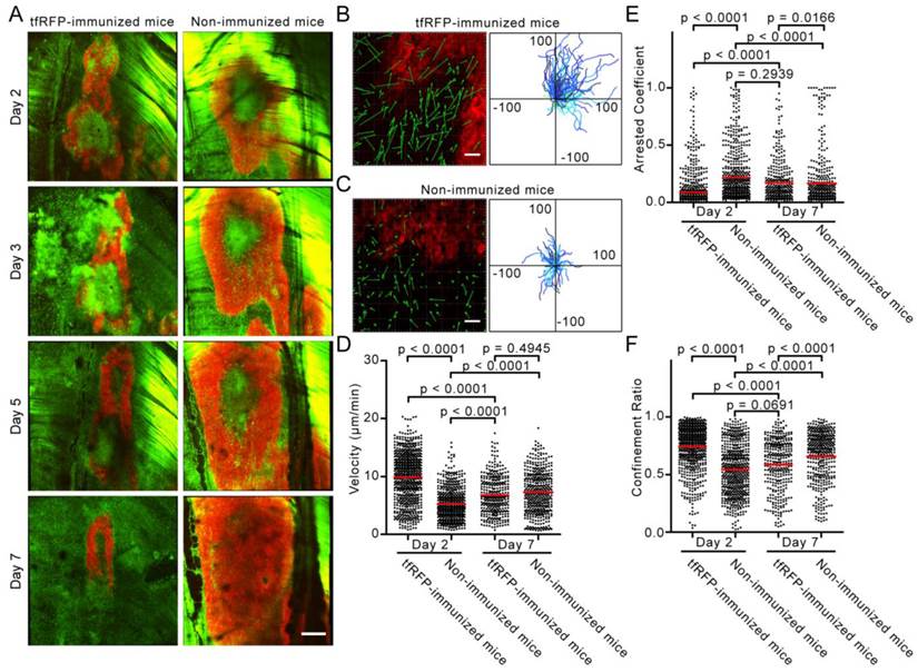 Theranostics Image