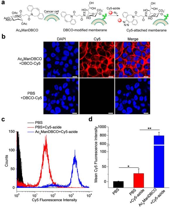 Theranostics Image