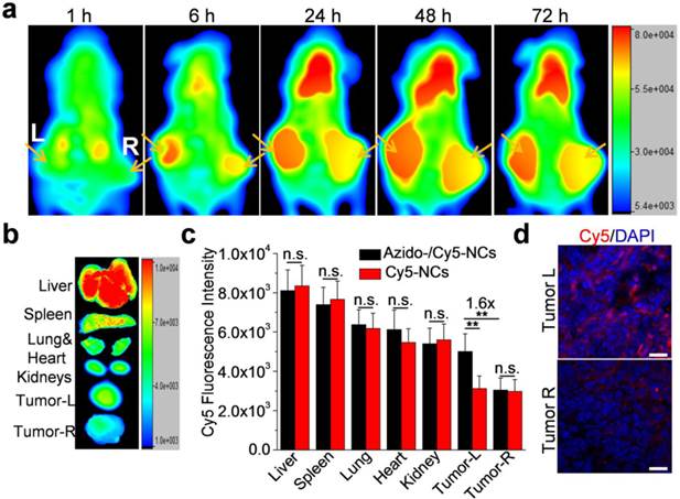 Theranostics Image