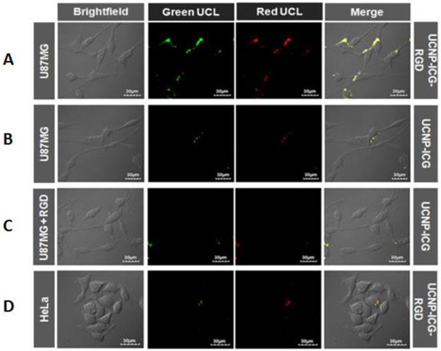 Theranostics Image