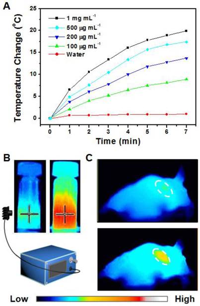 Theranostics Image