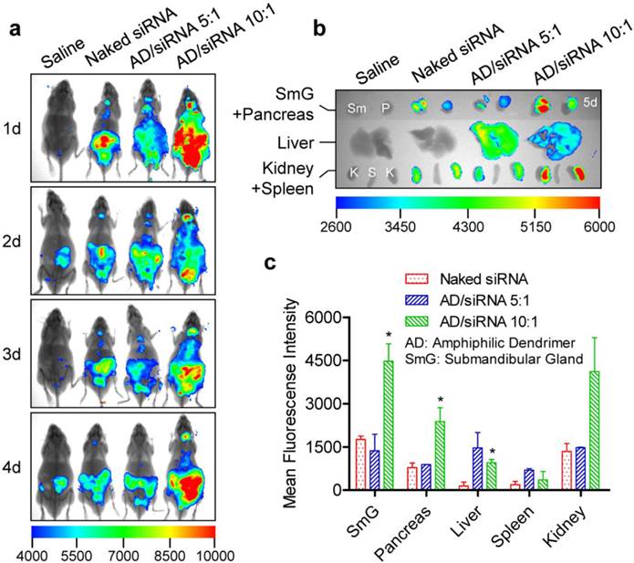 Theranostics Image