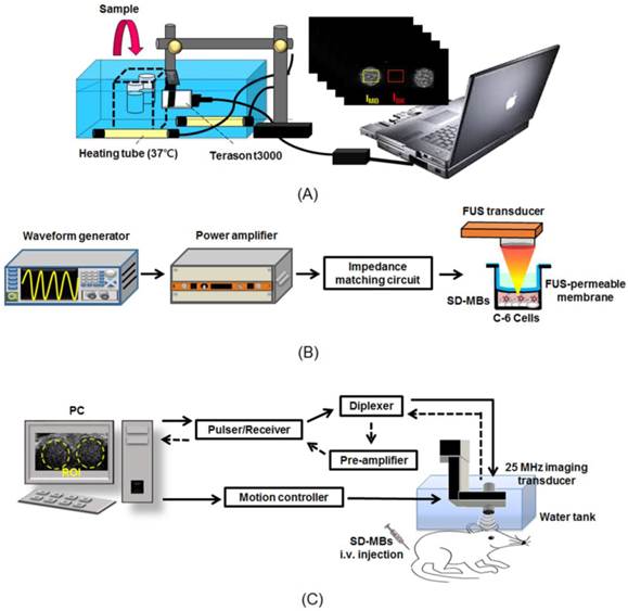 Theranostics Image