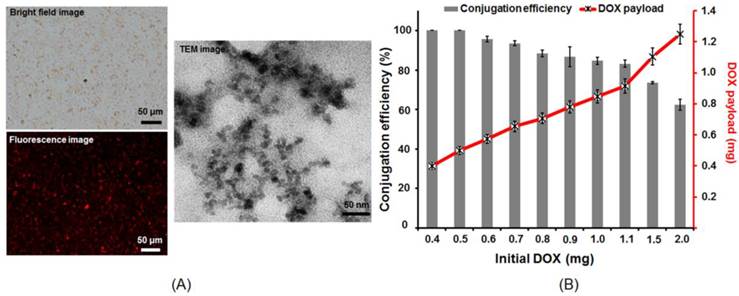 Theranostics Image