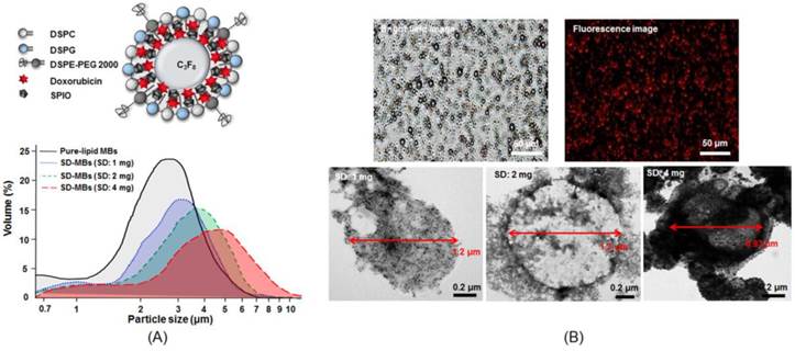 Theranostics Image