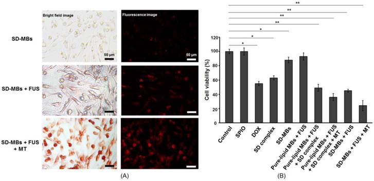 Theranostics Image