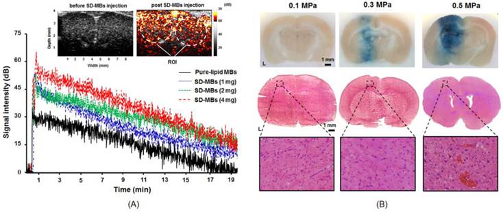 Theranostics Image