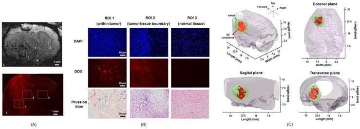 Theranostics Image