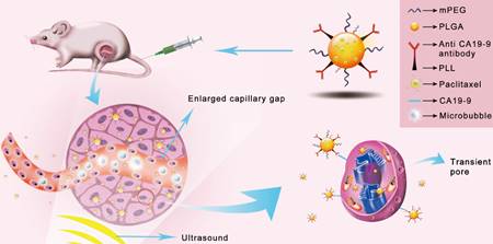 Theranostics Image