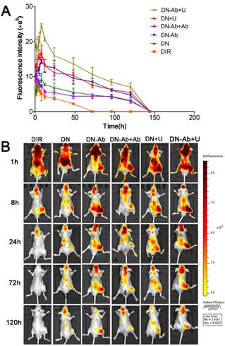 Theranostics Image